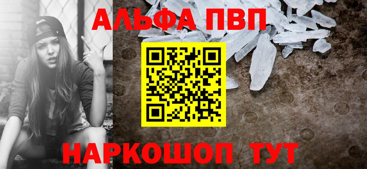 Alfa_PVP СК КРИС Майкоп