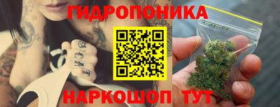 спиды Заводоуковск