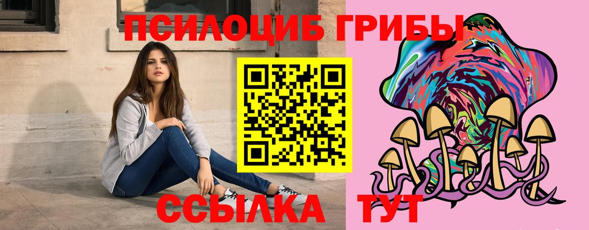 Галлюциногенные грибы Psilocybe Майкоп