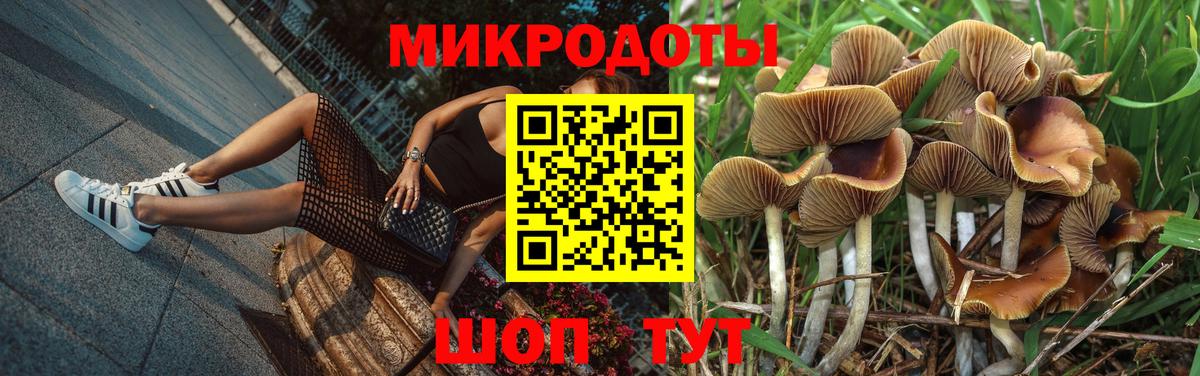 Псилоцибиновые грибы Magic Shrooms  Вход с VPN  Майкоп 